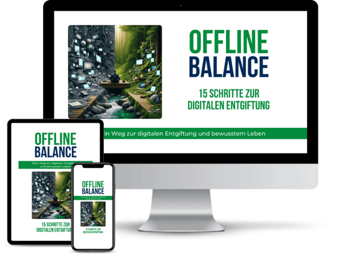 Offline Balance Onlinekurs